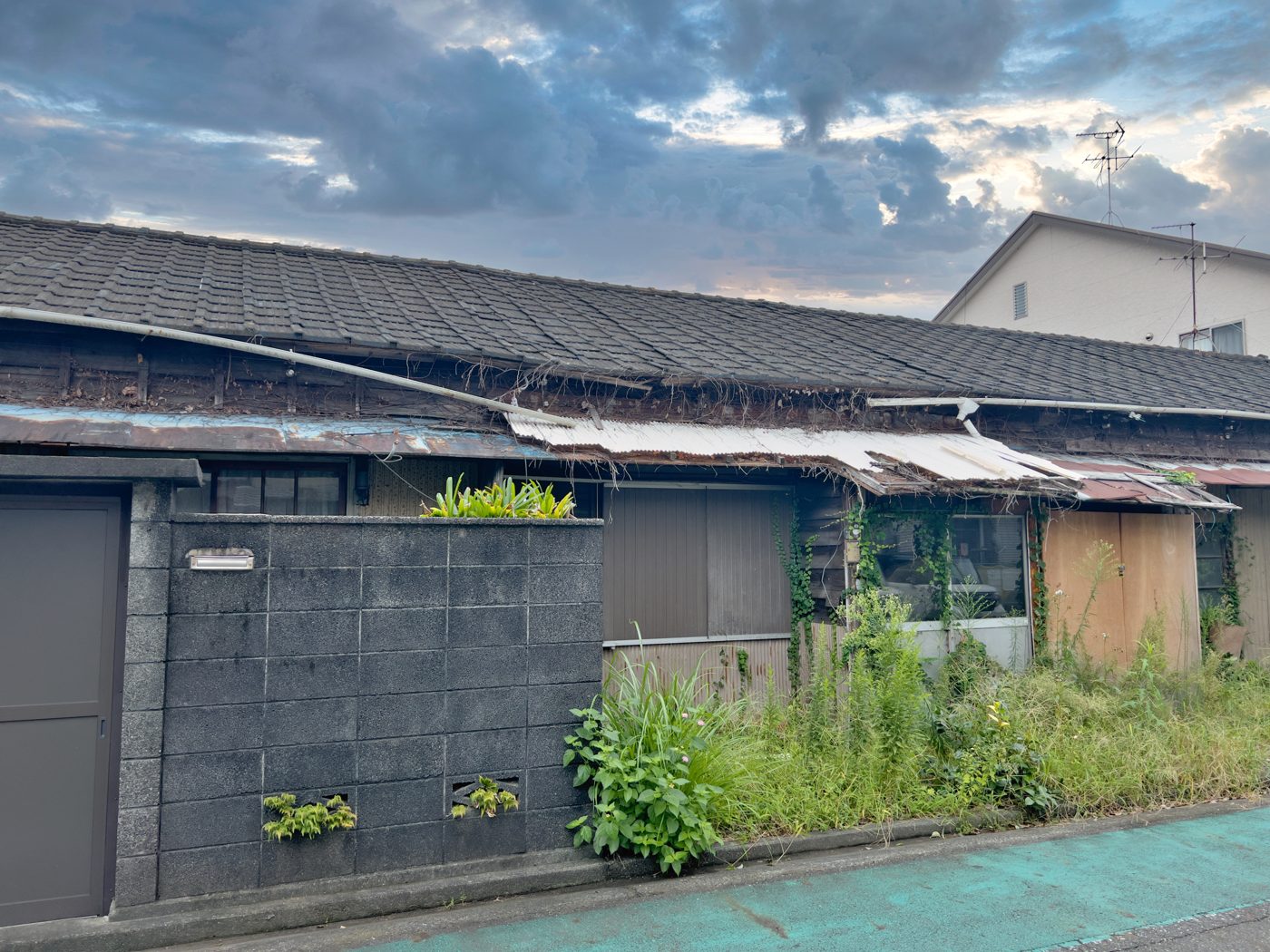 雑草が伸びた古い平屋の連棟住宅