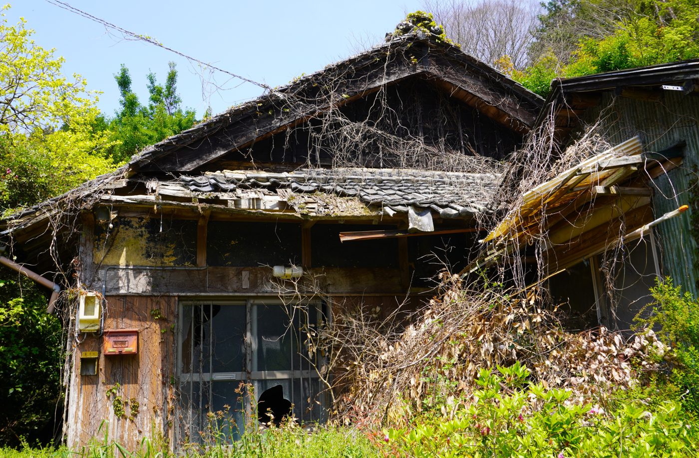 草木に覆われた古い木造の空き家