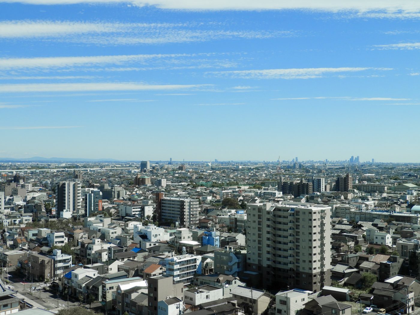 高台から見た大阪の住宅街
